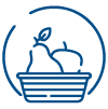 Fruits Icon