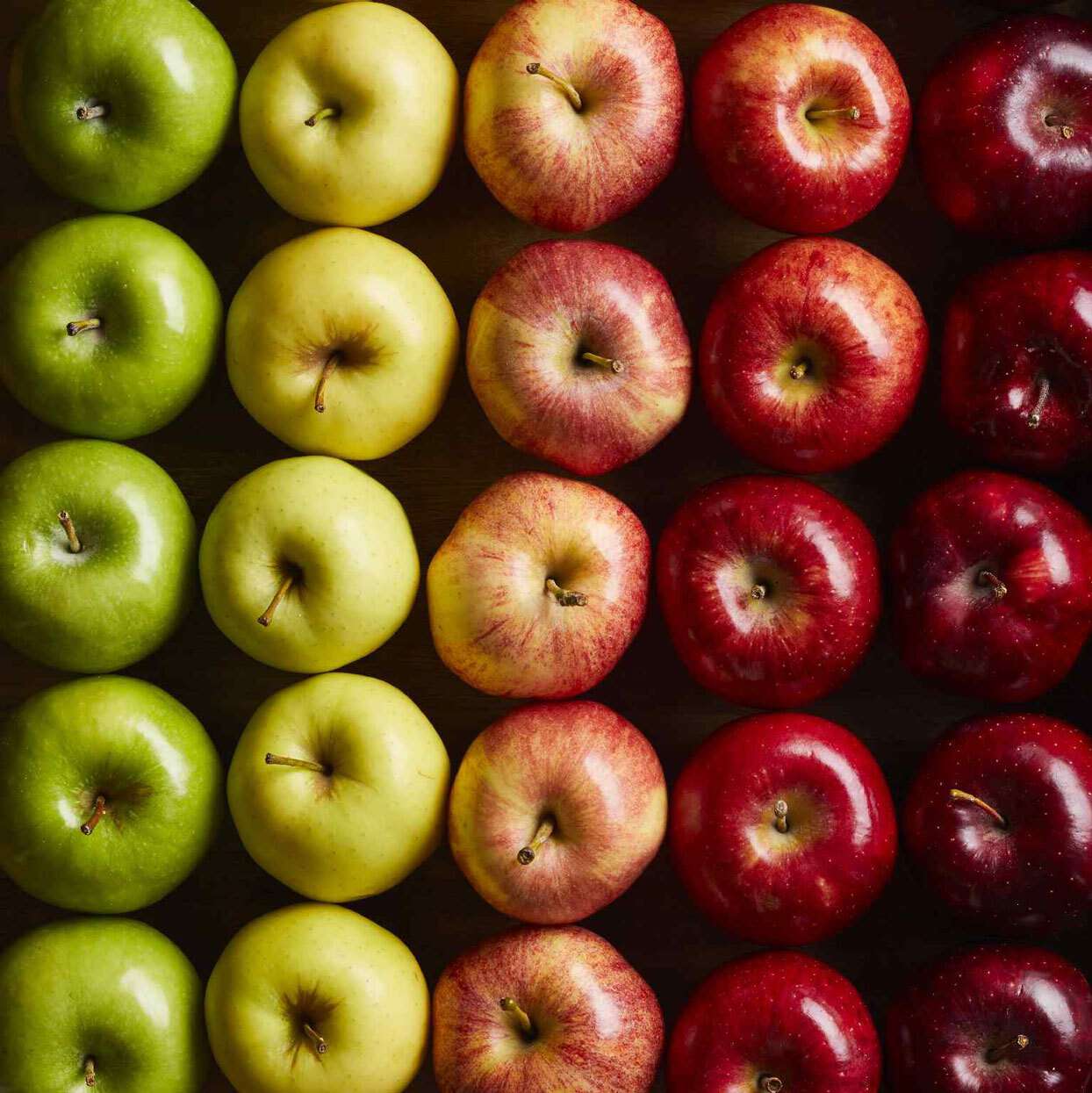Holdenharvest fruit export company in Iran for apples, kiwi, and fresh produce